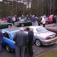 Starting at Avon Heath Country Park