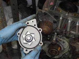 MGF Cambelt 2